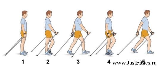 Скандинавская ходьба с палками техника ходьбы 