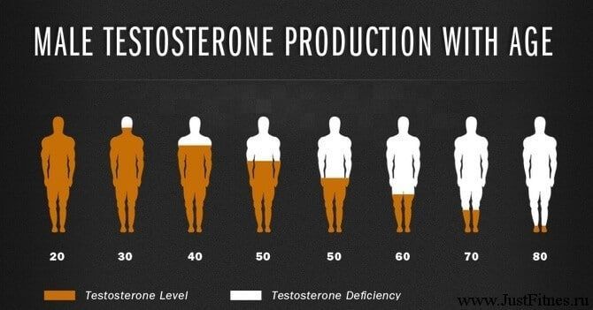 Уровень тестестерона по возрасту